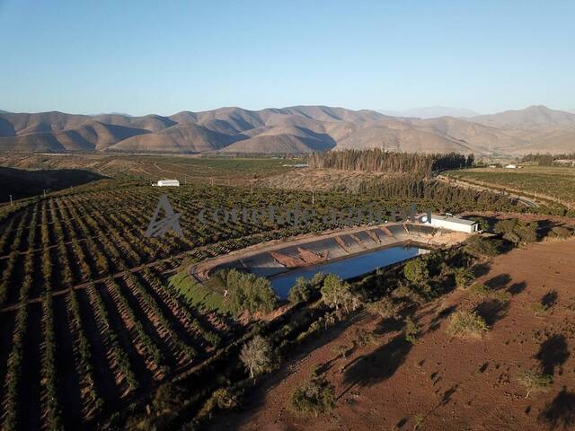 #5 - Terreno para Venta en Illapel - IV - 1