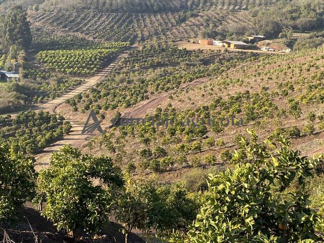 #7 - Campo para Venta en Melipilla - XIII - 2