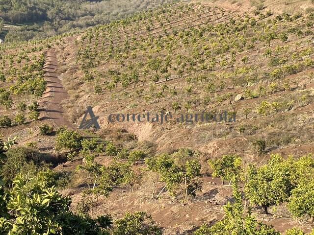 #7 - Campo para Venta en Melipilla - XIII - 3