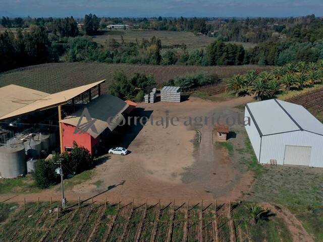 #15 - Campo para Venta en Talca - VII - 2