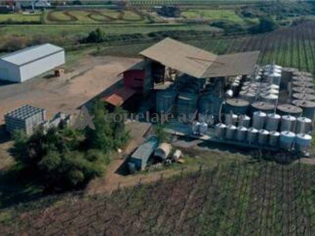 #15 - Campo para Venta en Talca - VII - 1